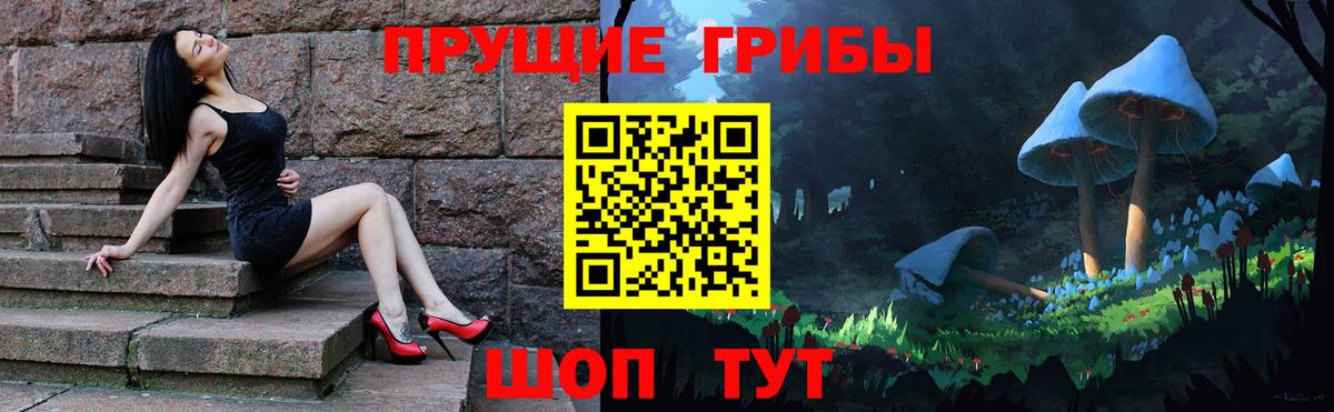 Заволжье  Псилоцибиновые грибы Psilocybe  Вход с VPN 