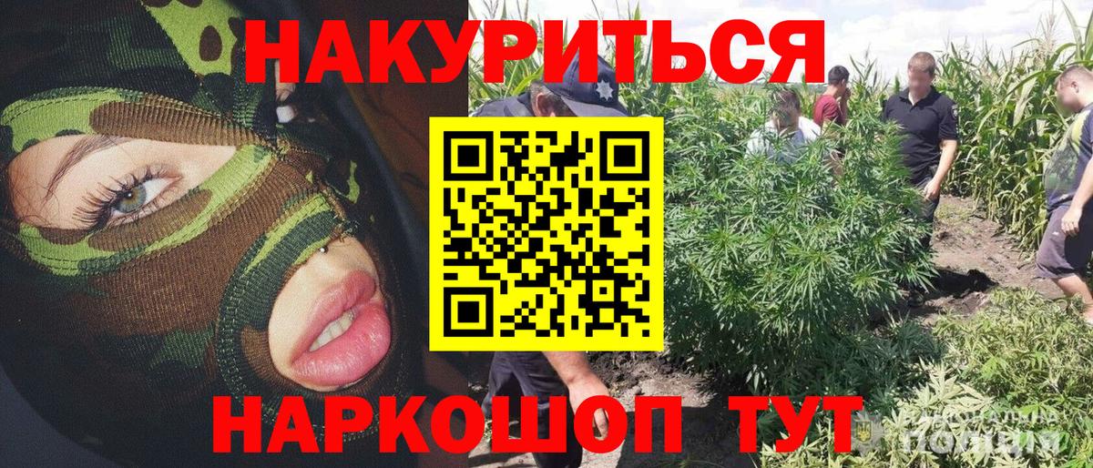 Каннабис White Widow Заволжье